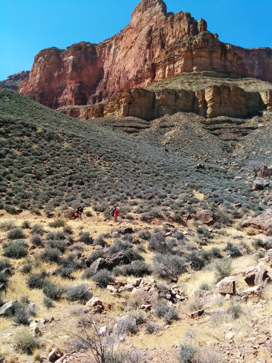 grand canyon tonto trail