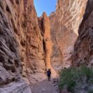 wonder of the grand canyon escalante route 75 mile canyon square
