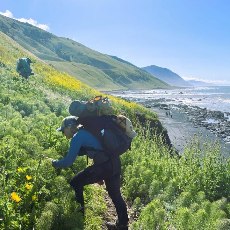 Hiker smelling flowers on Lost Coast Trail hike.