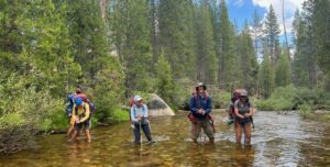 Don’t Get The Blues Hiking In Wet Shoes