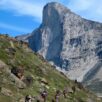 square - mt thor baffin island