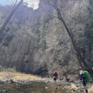 gila wilderness wide shot in stream and cliffs